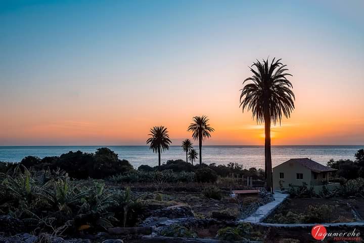 b7aea2d4-e070-4c0d-ad2f-9e7a07e6e10d