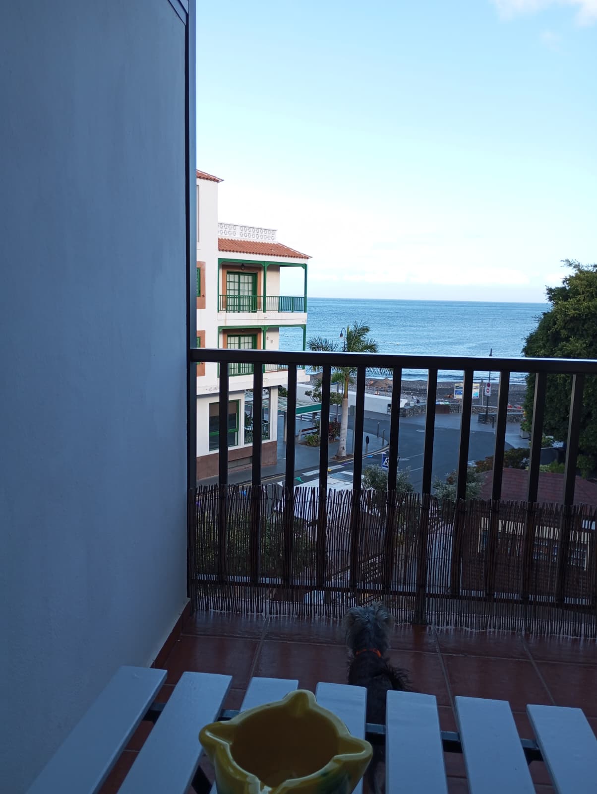 52ed038d-a22b-46c7-951e-bc1d80170783