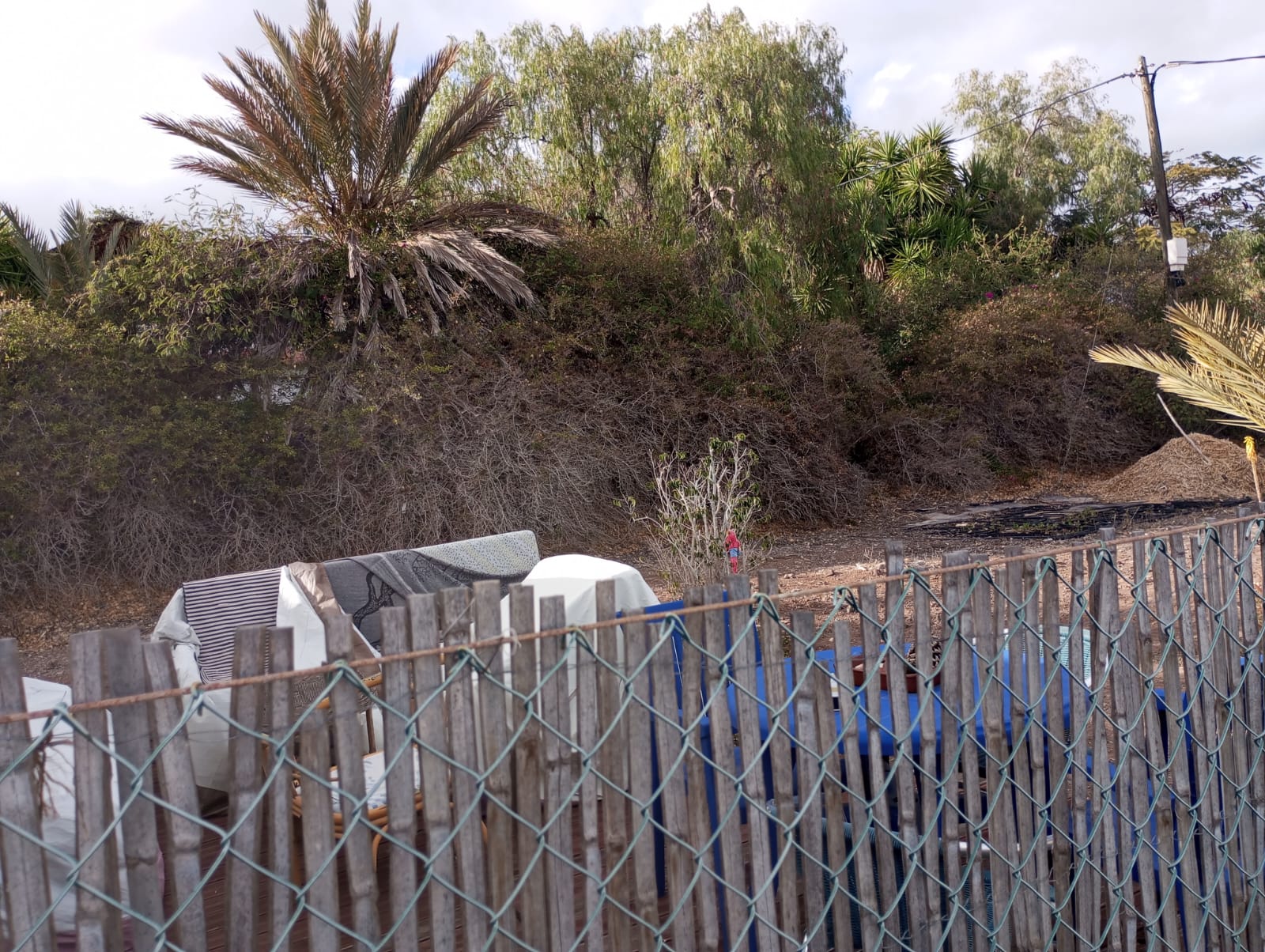 08f10fca-4ae9-4abd-bd20-ef2aedd12371