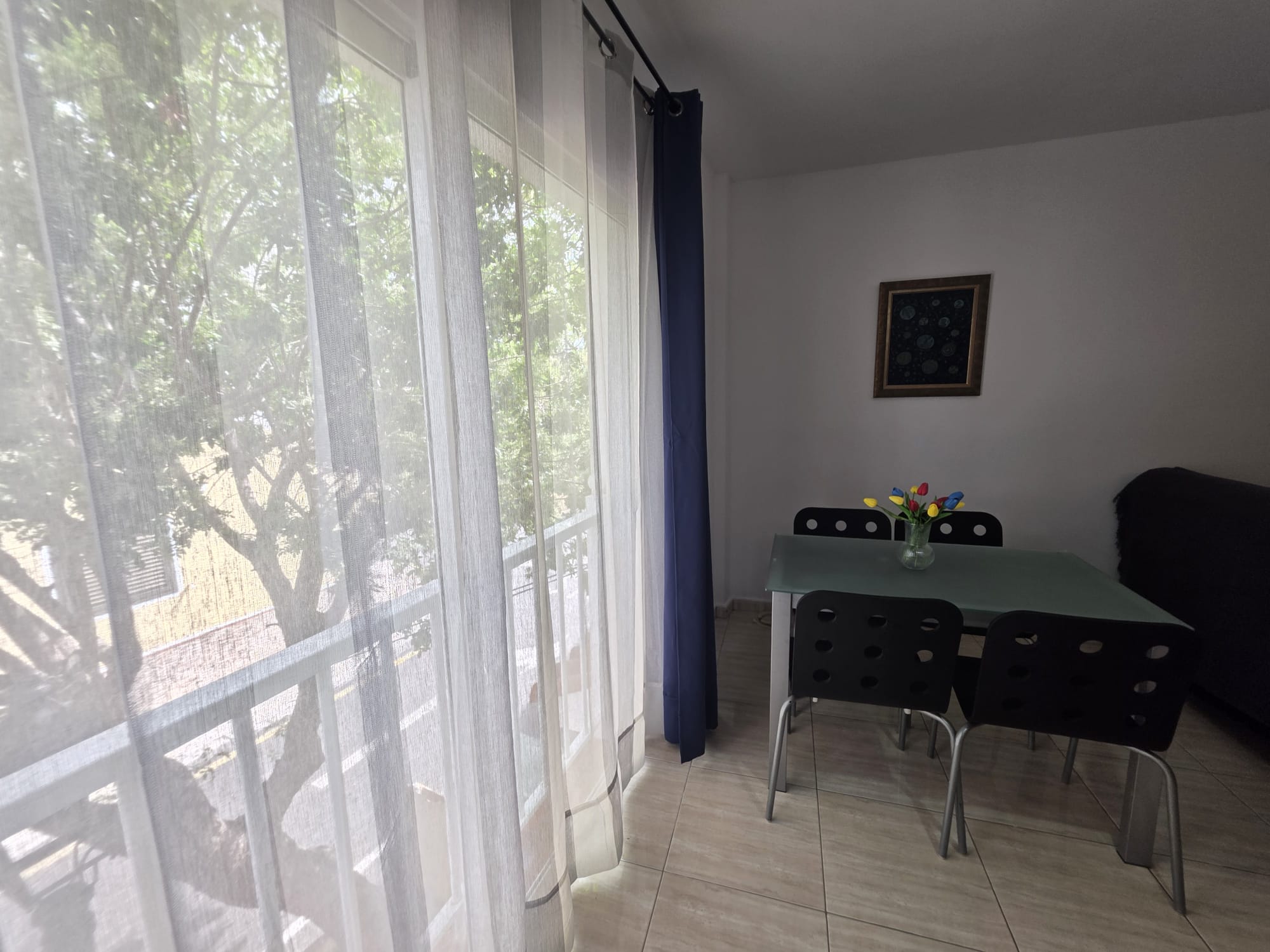 2c2da2f7-5301-4275-a04e-f6bdd9cd1a01 - copia