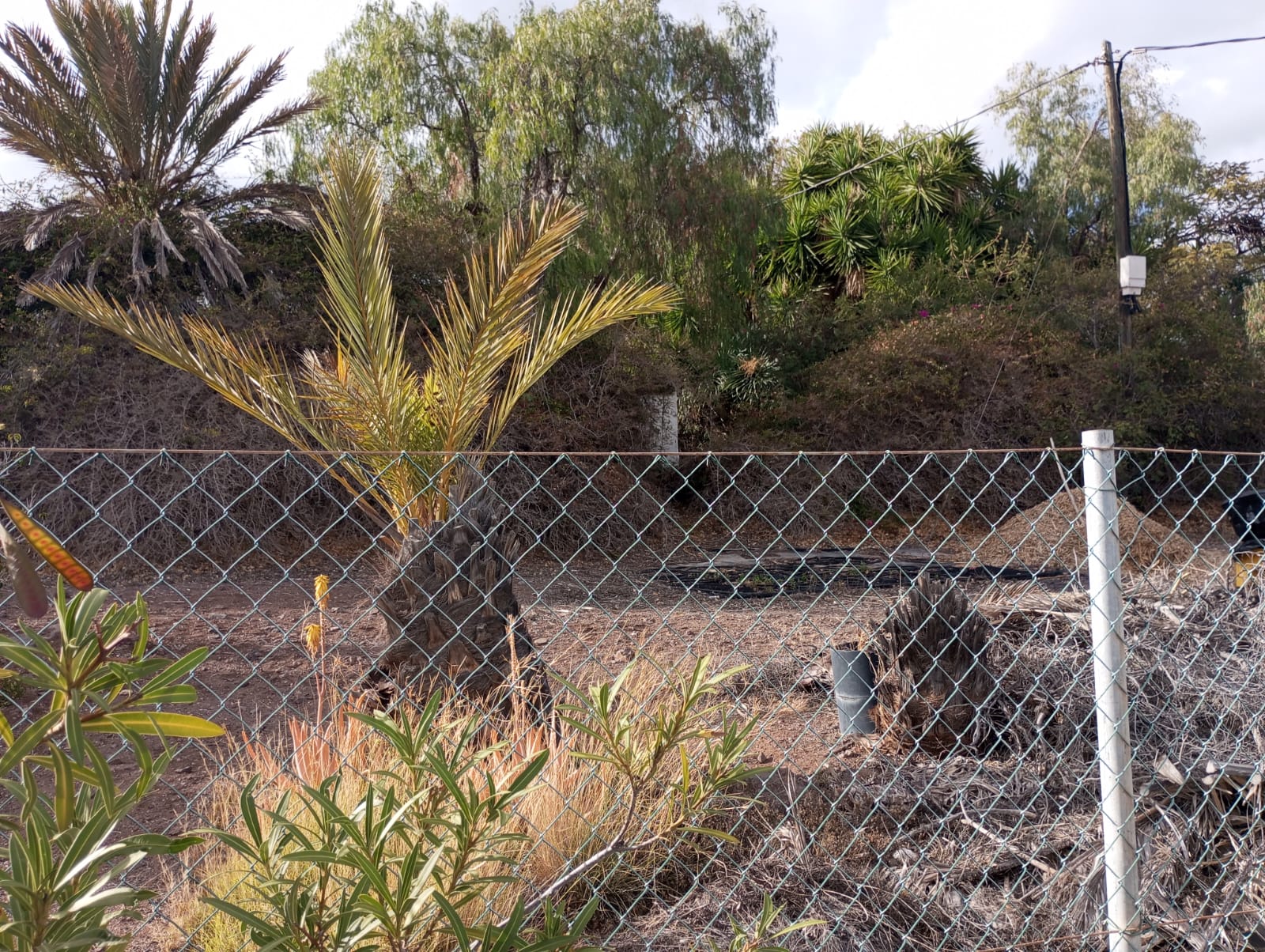 9a754e24-4153-45a4-a832-597100cc753a