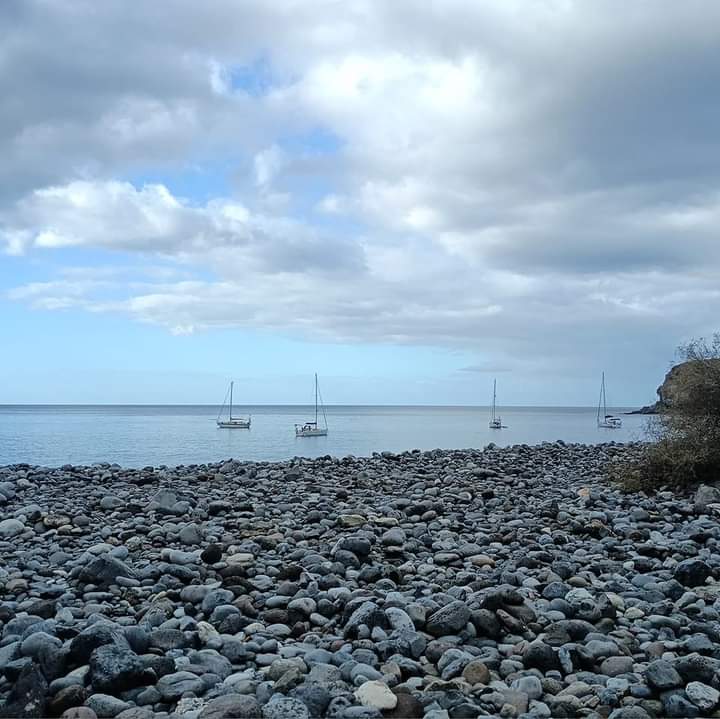 9c698355-832b-4ae5-ad6c-4b21316a904f