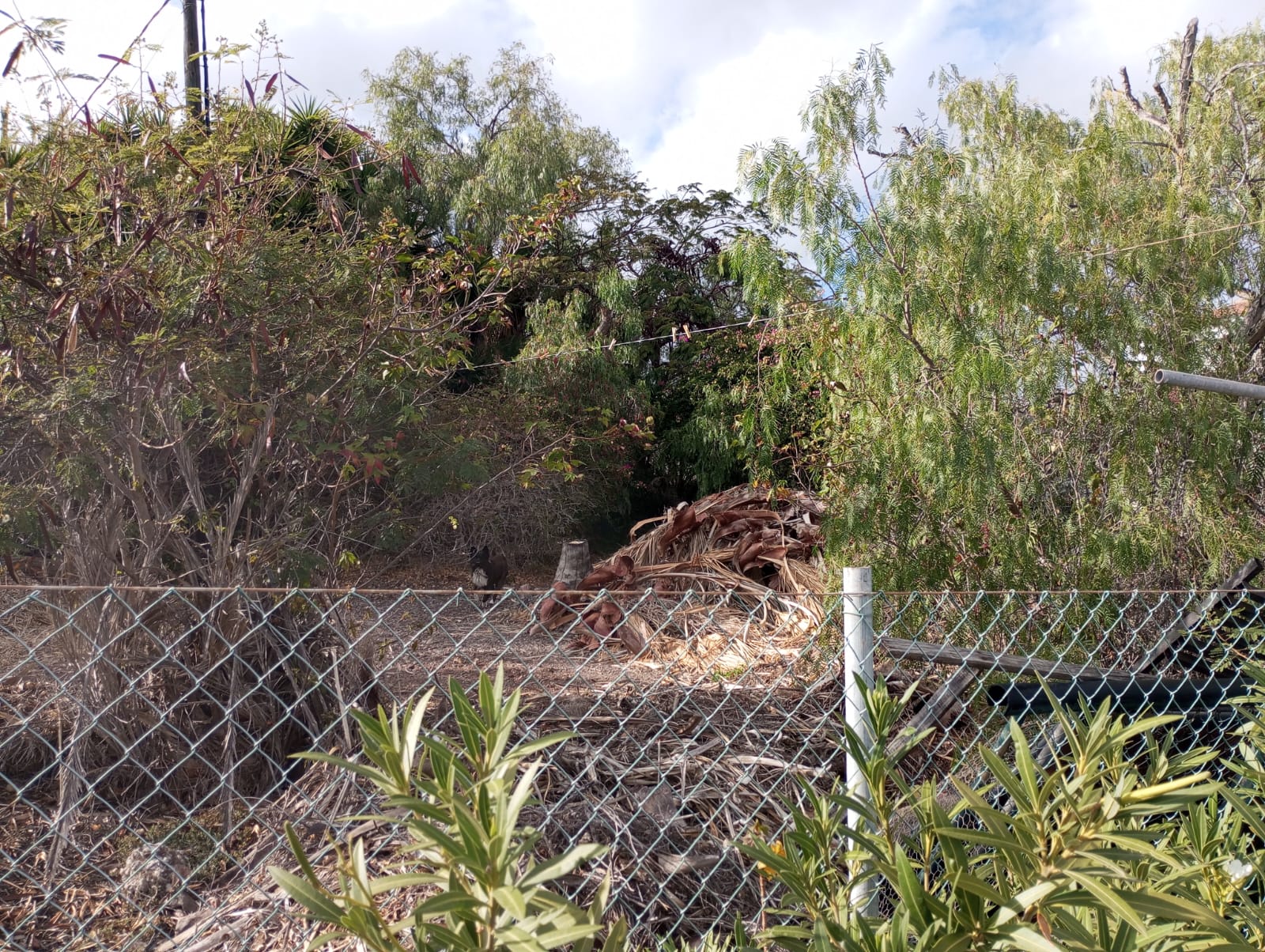 d42db7e5-09ef-4400-9698-059237836f57