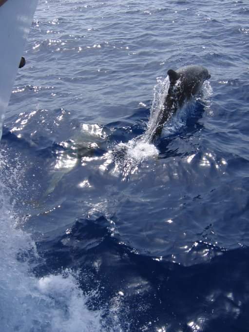 f76e7bd9-fc57-446a-85f6-79aa899bd2d7