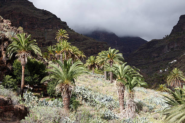 gettyimages-130854244-612x612