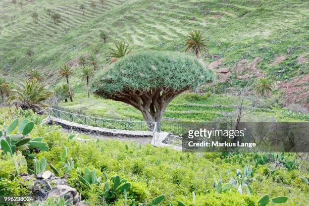 gettyimages-996238024-612x612