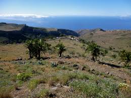 images (1)