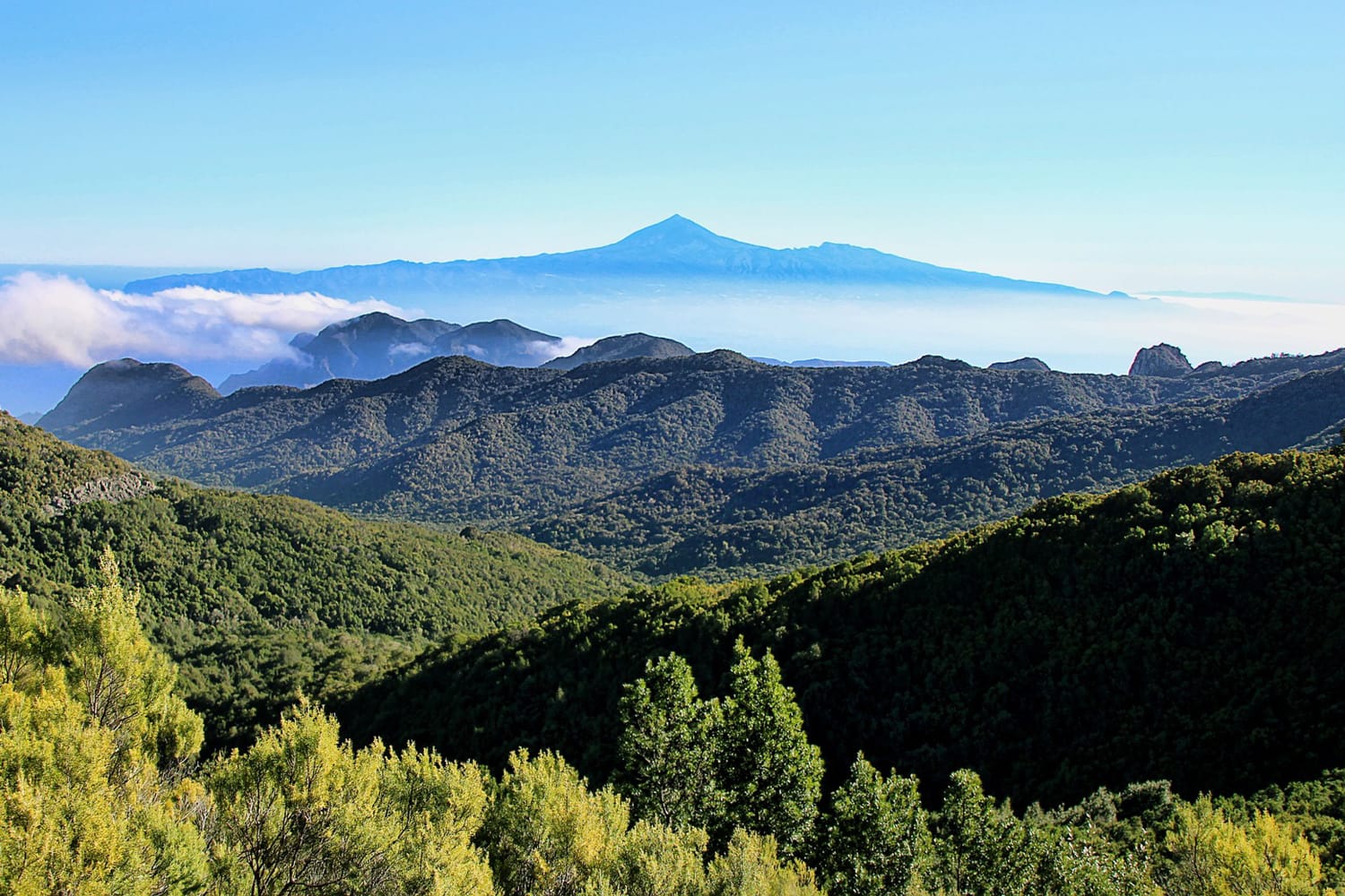 64e83cf1-31e1-47c8-84eb-ab087d168005