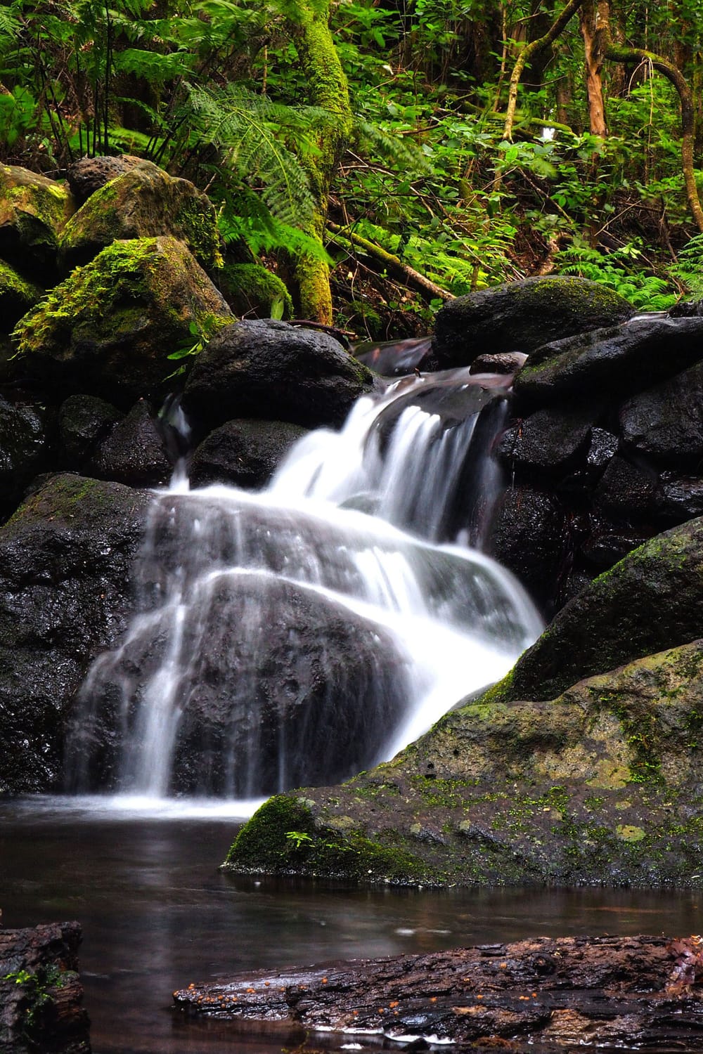 b07036b7-d761-44df-b3ba-67cae612a77c