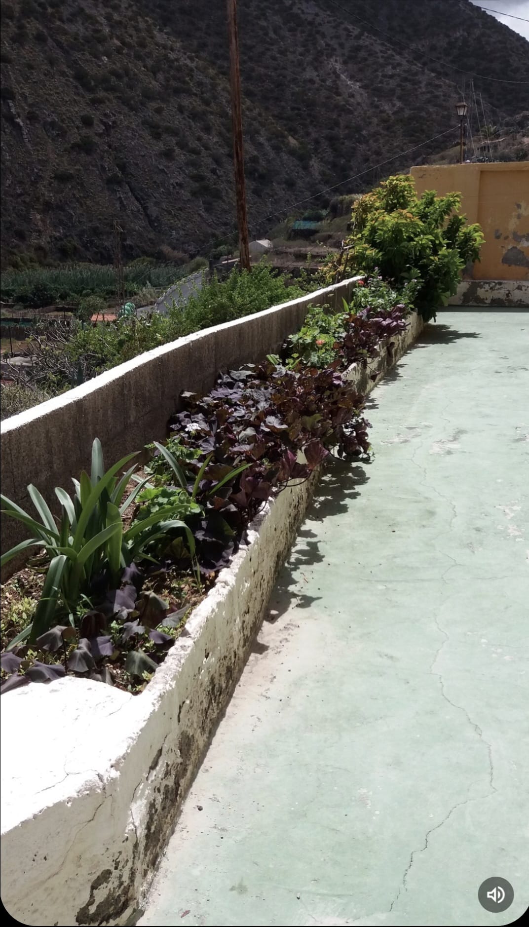 26daed37-2be5-47dc-a7eb-6f605d3ba061