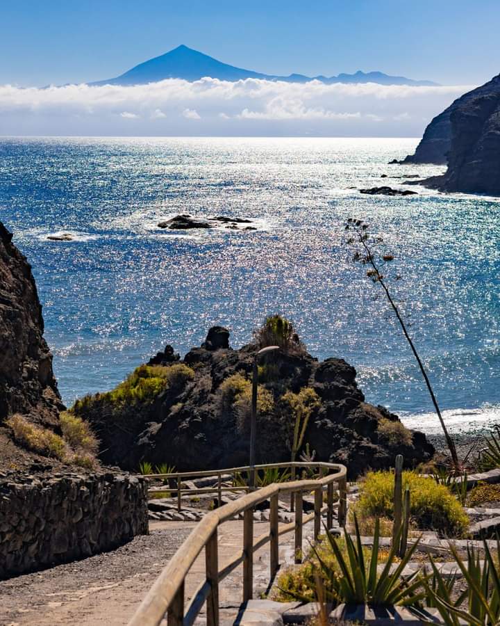 26e6e626-ce1a-4827-ab24-07131558d086