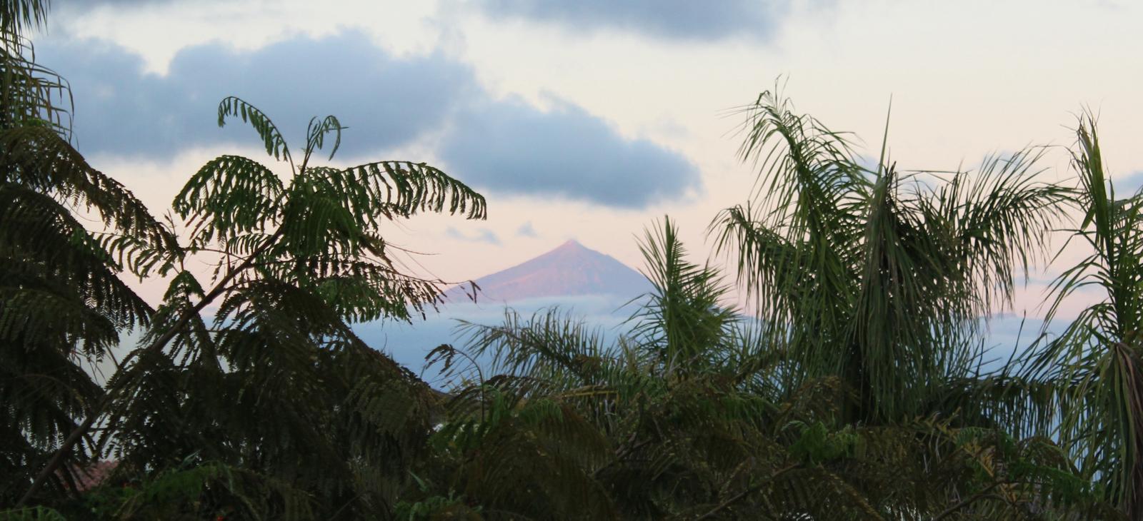 3ad2125e-5629-4613-985c-fce32bab69cc