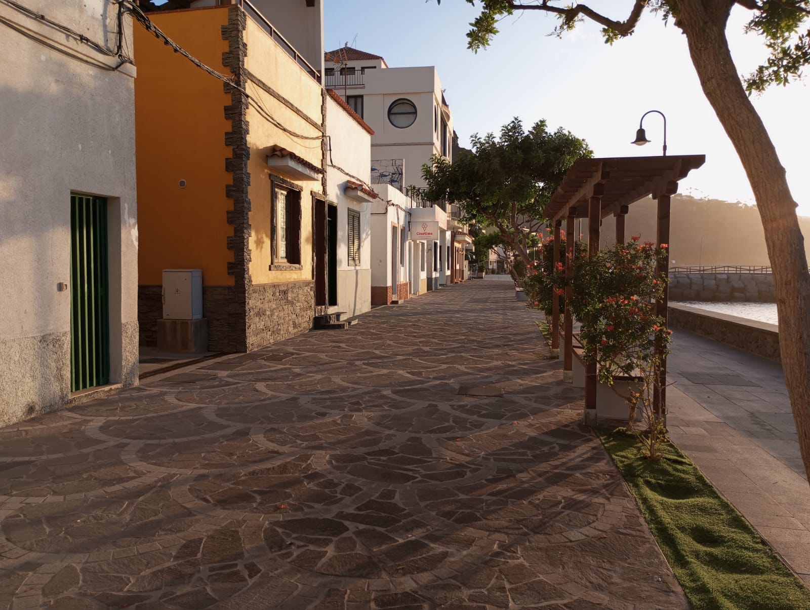 767ebaa5-1e3d-4a95-8ac5-a98d1ba15594