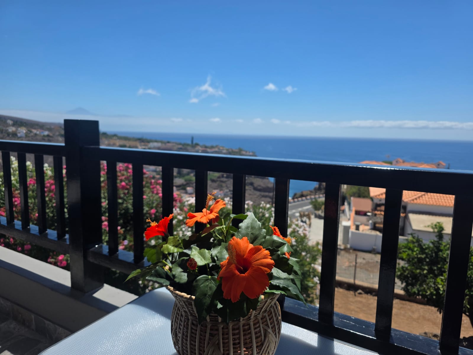 05740365-d302-4df3-9c48-475726846d81