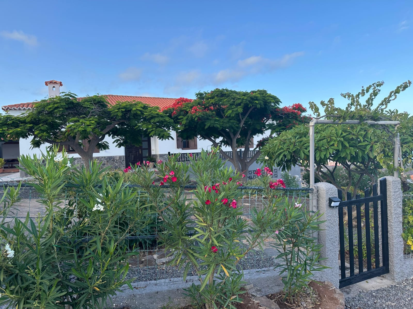 80ba2fef-2ada-4dce-8fca-747079d90abf